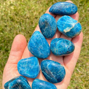 Tumbled Stone Polished Apatite